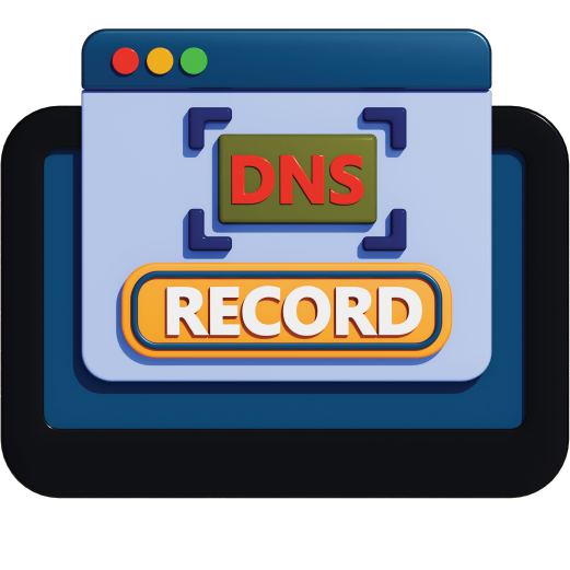 Find DNS Record