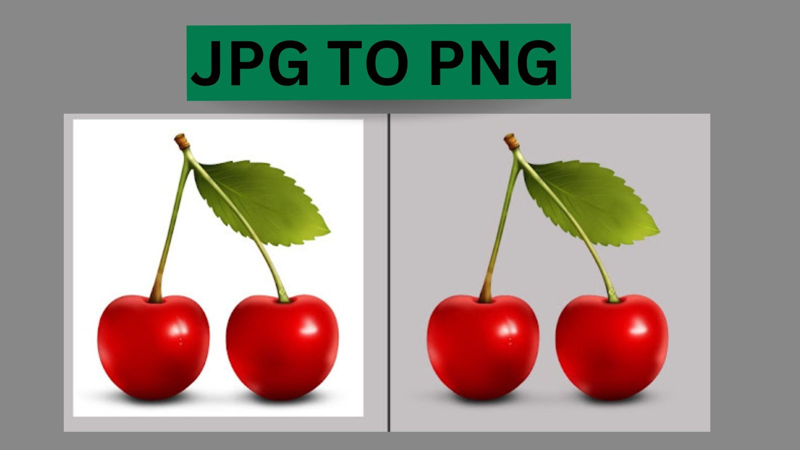 JPEG and PNG: The Basic Difference.