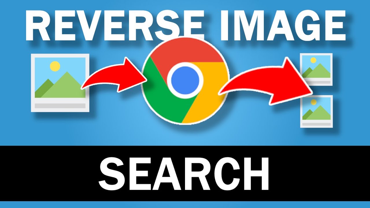 How to search similar images online?Best Free Reverse Image search